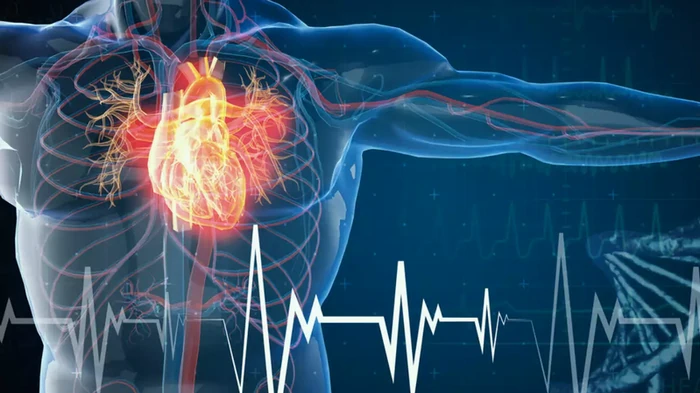 thrombosis جي روڪٿام